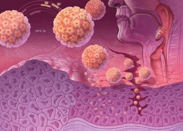 Prienik HPV do ľudského tela