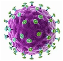 Čo je to ľudský papilomavírus infekcie